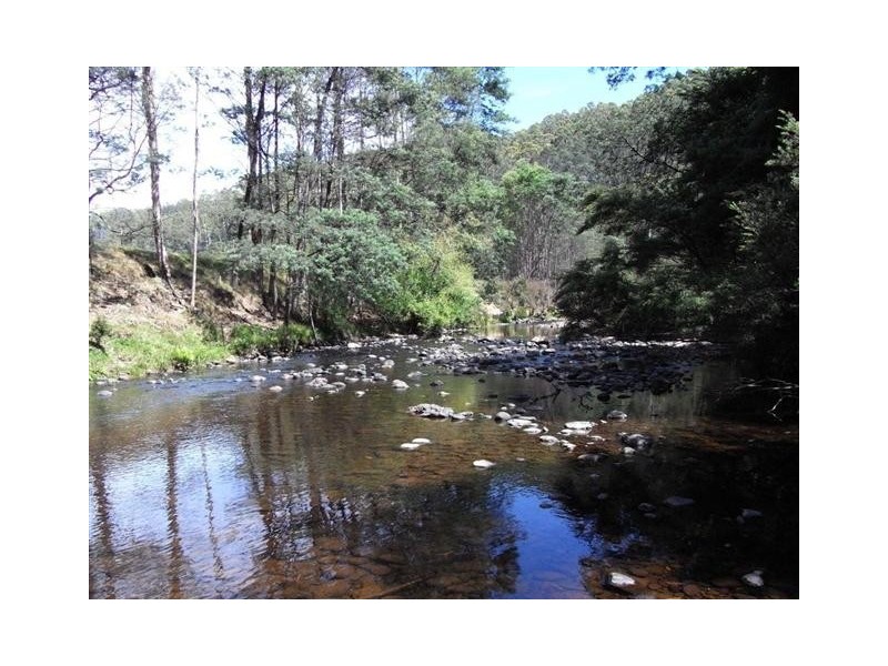 50 Jamiesons Road, Kindred TAS 7310