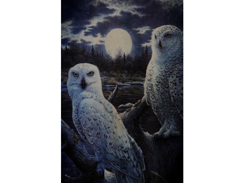 108 High Street, Campbell Town TAS 7210