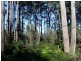 251 Kelcey Tier Road, Spreyton TAS 7310