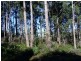 251 Kelcey Tier Road, Spreyton TAS 7310