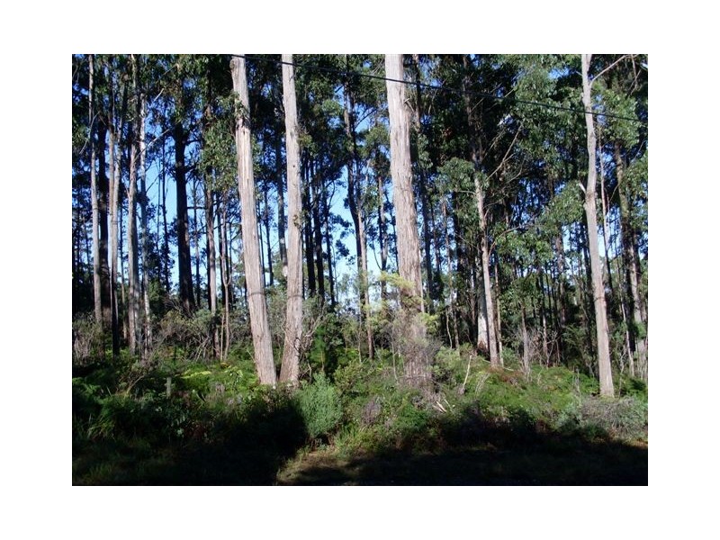 251 Kelcey Tier Road, Spreyton TAS 7310