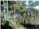 251 Kelcey Tier Road, Spreyton TAS 7310