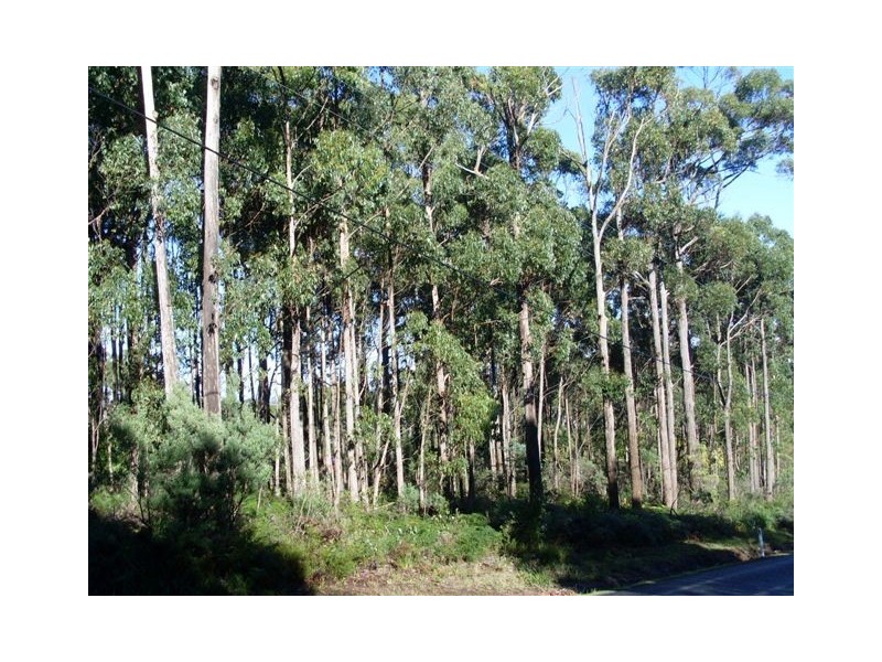 251 Kelcey Tier Road, Spreyton TAS 7310