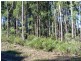 251 Kelcey Tier Road, Spreyton TAS 7310