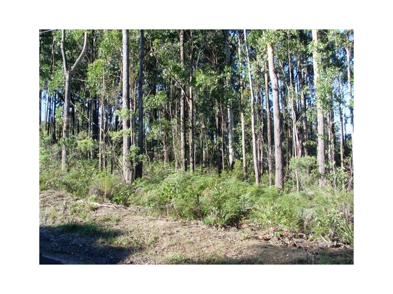 251 Kelcey Tier Road, Spreyton TAS 7310