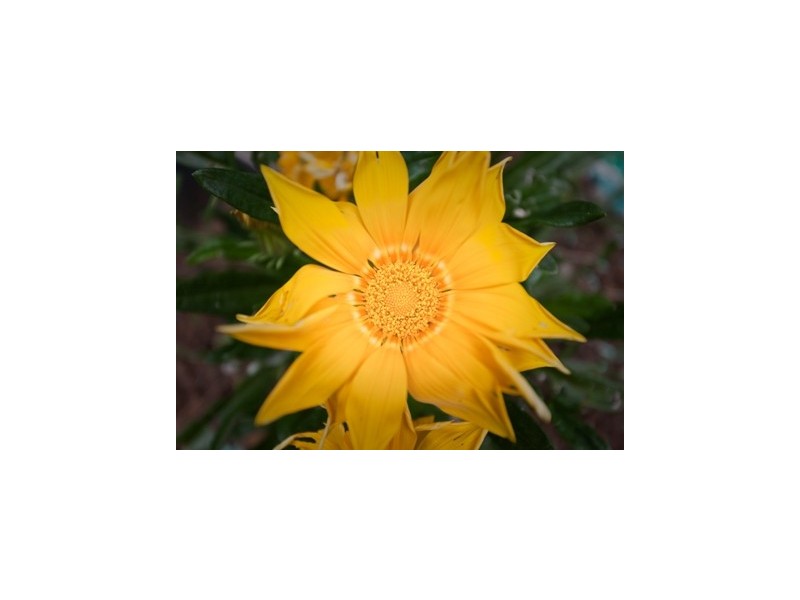 10 Crockers Street, Railton TAS 7305