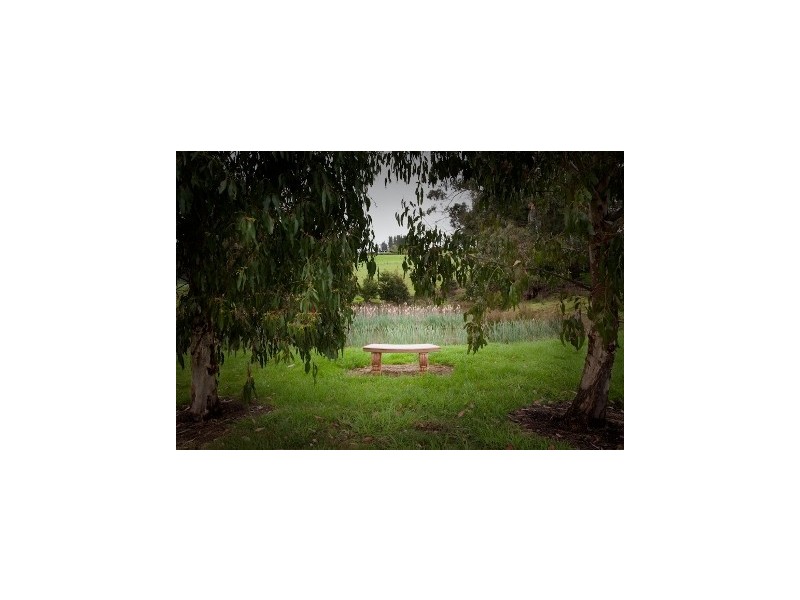 10 Billing Road, Sheffield TAS 7306