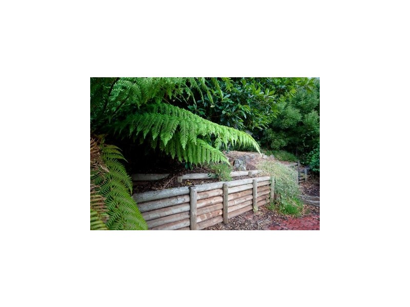 29 River Road, Ambleside TAS 7310