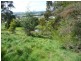 31 Squibbs Road, Spreyton TAS 7310