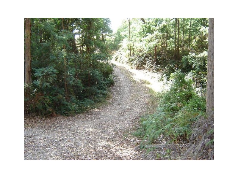 126 Knox Drive, Spreyton TAS 7310