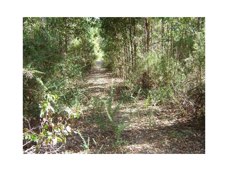 126 Knox Drive, Spreyton TAS 7310