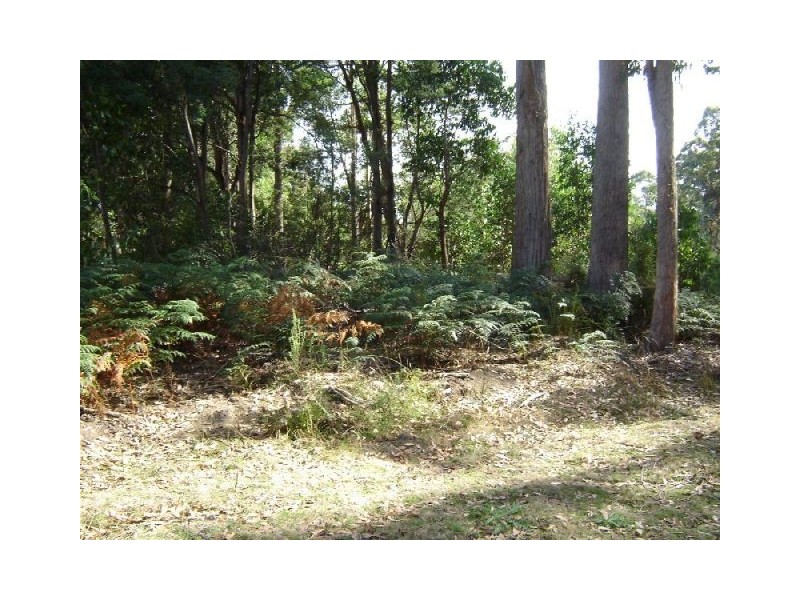 126 Knox Drive, Spreyton TAS 7310