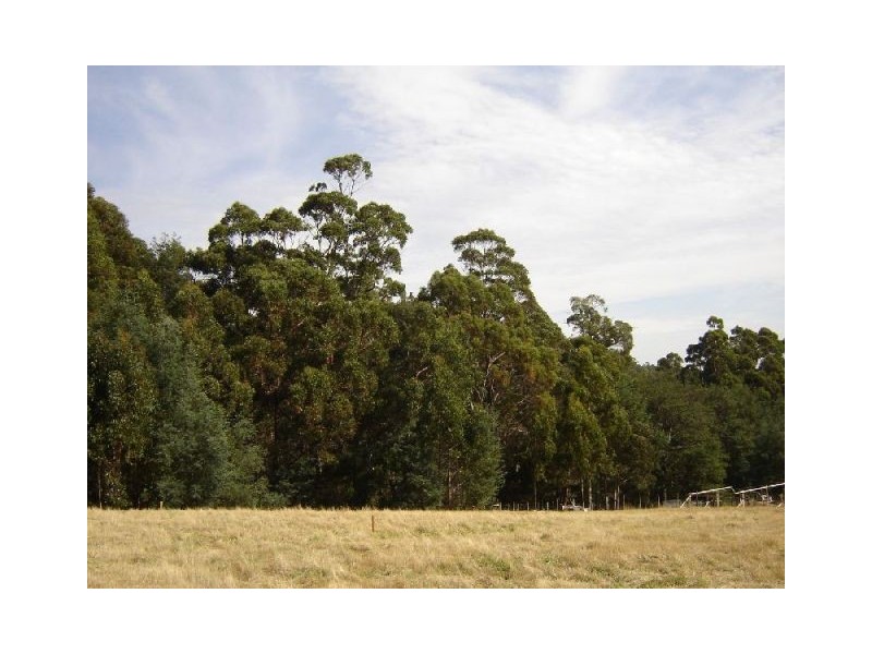 126 Knox Drive, Spreyton TAS 7310