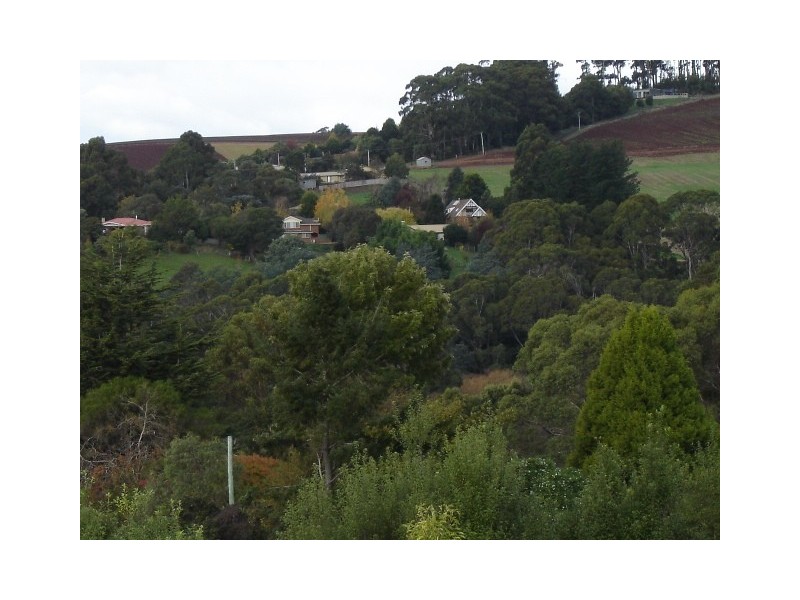 21 Walker Street, Forth TAS 7310