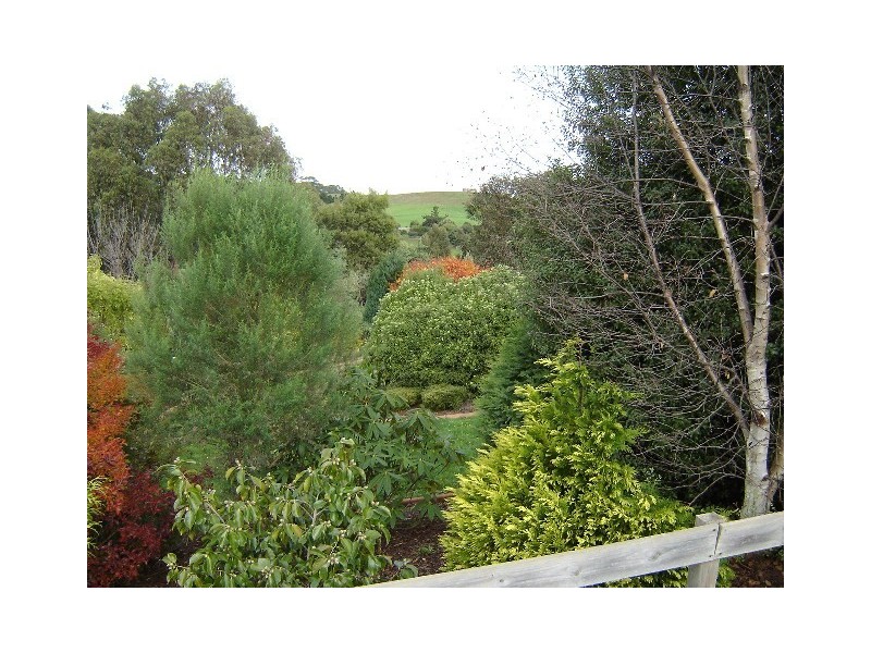 21 Walker Street, Forth TAS 7310