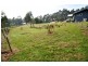 66 Barnes Road, South Spreyton TAS 7310