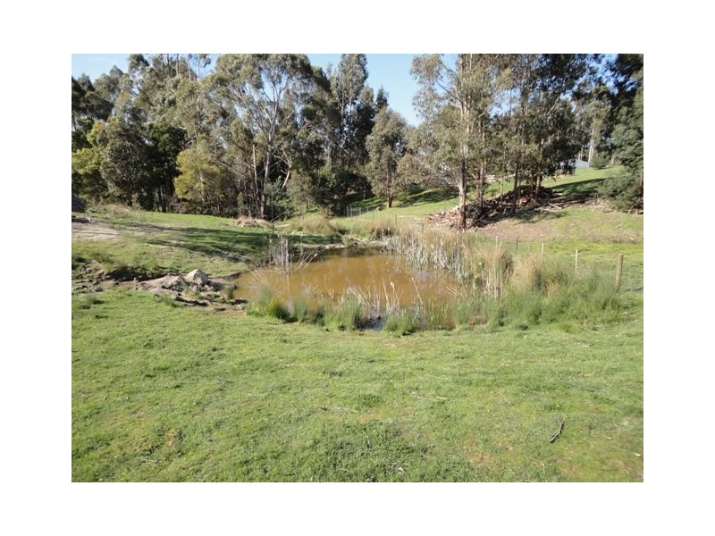 60 Barnes Road, South Spreyton TAS 7310