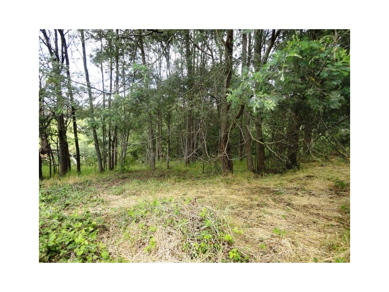 11 King Street, Railton TAS 7305