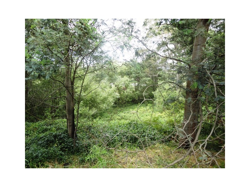 11 King Street, Railton TAS 7305