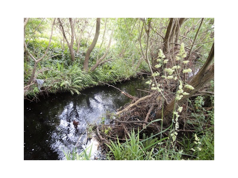 11 King Street, Railton TAS 7305