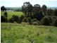 95a White Hills Road, Penguin TAS 7316