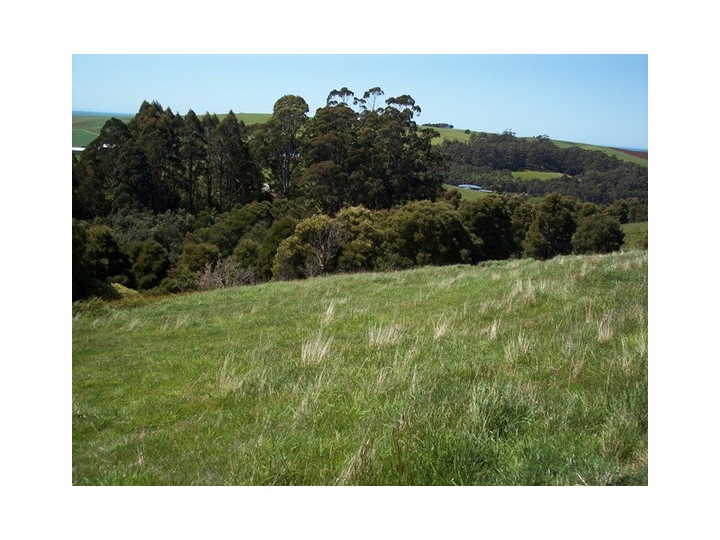 95a White Hills Road, Penguin TAS 7316