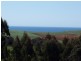 95a White Hills Road, Penguin TAS 7316