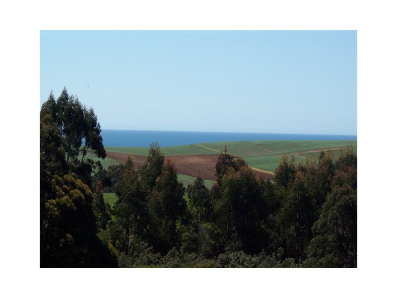 95a White Hills Road, Penguin TAS 7316