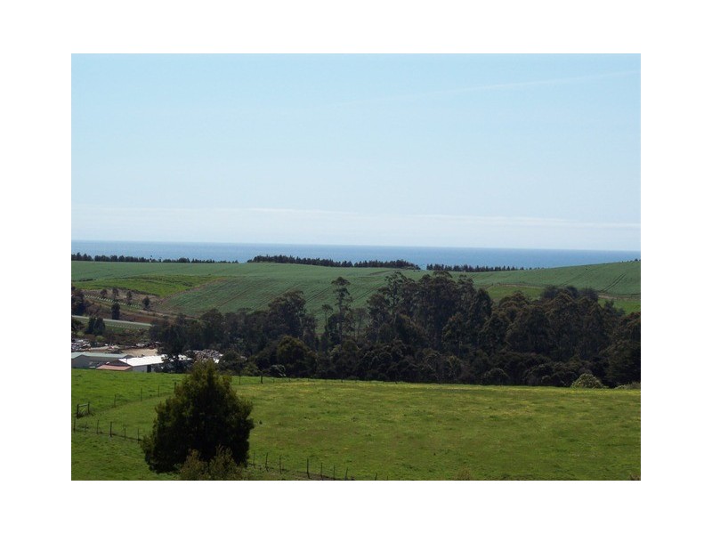 95a White Hills Road, Penguin TAS 7316