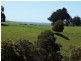 95a White Hills Road, Penguin TAS 7316