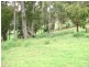 Lot 1 Wilmot Road, Forth TAS 7310