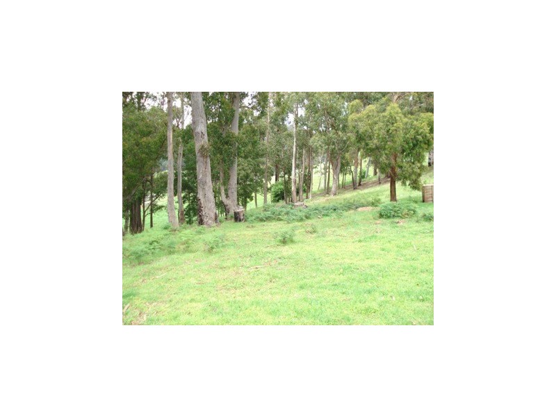 Lot 1 Wilmot Road, Forth TAS 7310