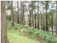 Lot 1 Wilmot Road, Forth TAS 7310