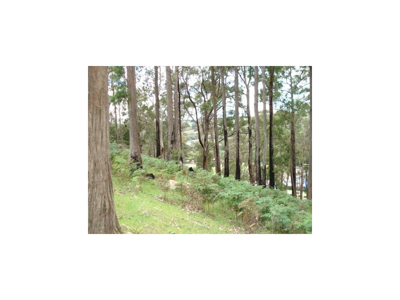 Lot 1 Wilmot Road, Forth TAS 7310