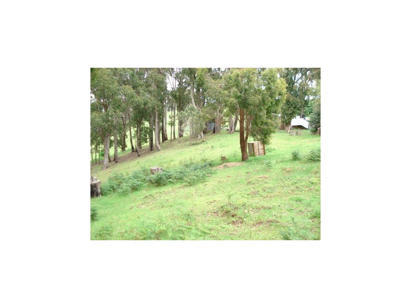 Lot 1 Wilmot Road, Forth TAS 7310