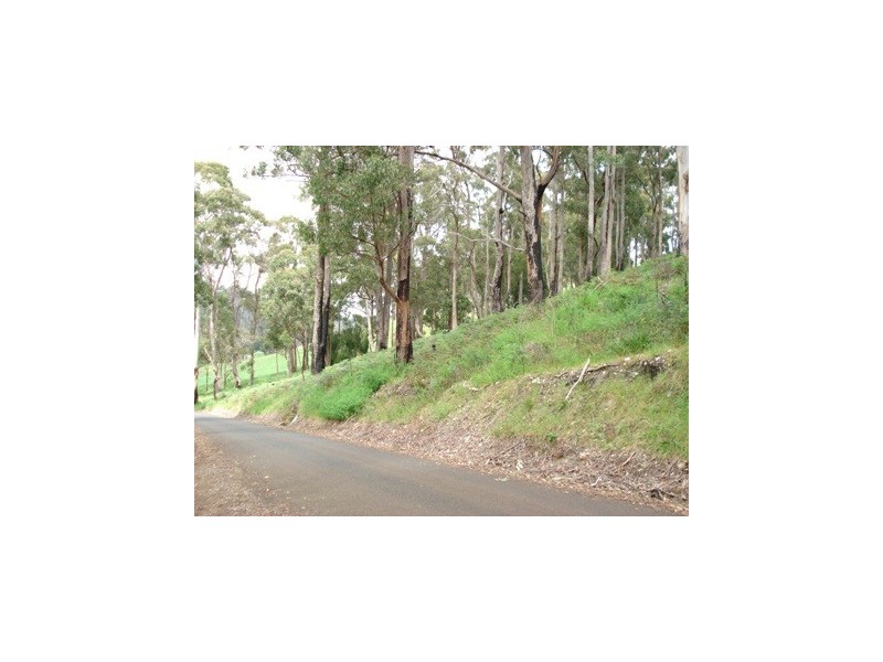 Lot 1 Wilmot Road, Forth TAS 7310