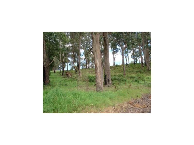 Lot 1 Wilmot Road, Forth TAS 7310