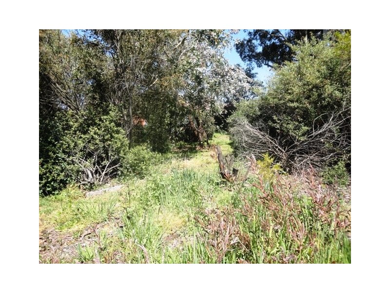 33 Roland Court, Sheffield TAS 7306