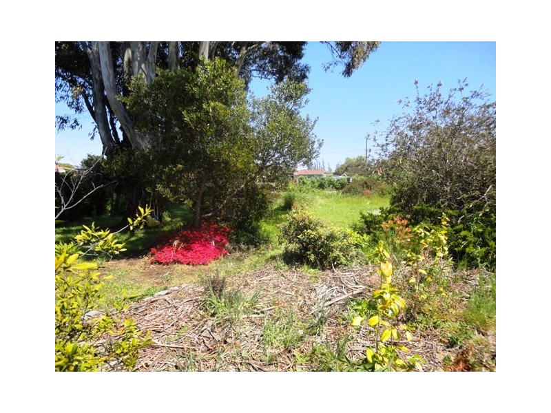 35 Roland Court, Sheffield TAS 7306