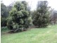 Lot 12 Coles Road, Stony Rise TAS 7310