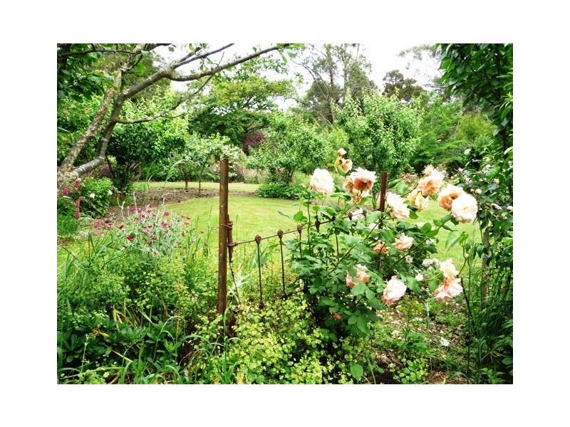 228 Sheffield Road, Spreyton TAS 7310