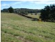 Lot 3 Coles Road, Acacia Hills TAS 7306