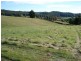 Lot 6 Coles Road, Acacia Hills TAS 7306