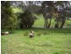 10 Top Gawler Road, Gawler TAS 7315