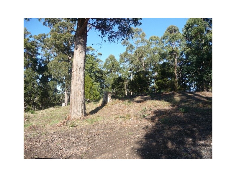 8 Ellice Hill Drive, Spreyton TAS 7310