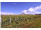 1224 Sheffield Road, Lower Barrington TAS 7306