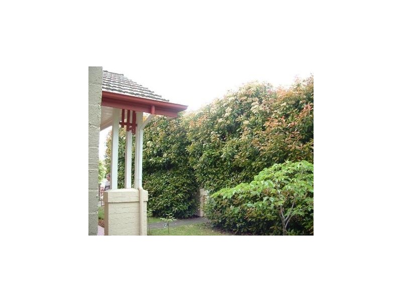 58 Forbes Street, Devonport TAS 7310