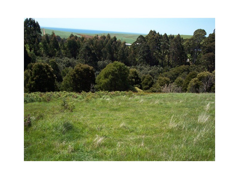 95a White Hills Road, Penguin TAS 7316
