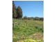 95a White Hills Road, Penguin TAS 7316
