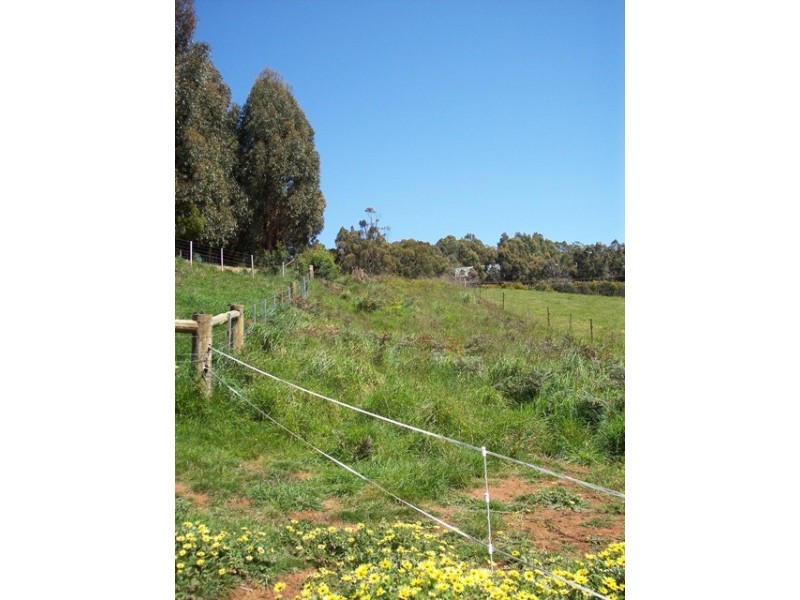 95a White Hills Road, Penguin TAS 7316
